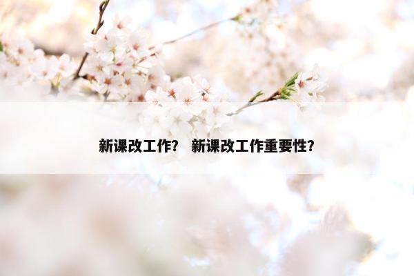 新课改工作？ 新课改工作重要性？