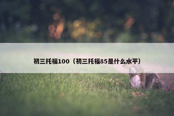 初三托福100（初三托福85是什么水平）