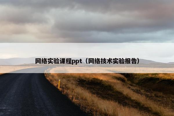 网络实验课程ppt（网络技术实验报告）
