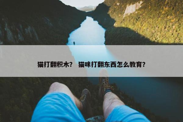 猫打翻积木？ 猫咪打翻东西怎么教育？