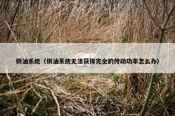 供油系统（供油系统无法获得完全的传动功率怎么办）