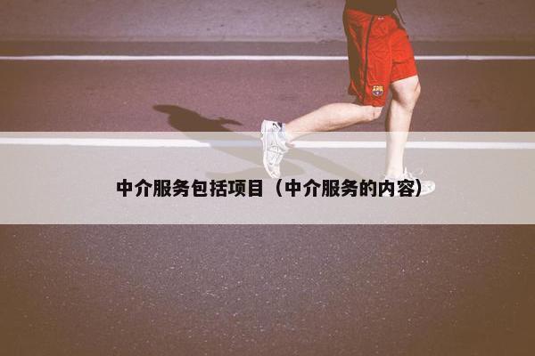 中介服务包括项目（中介服务的内容）