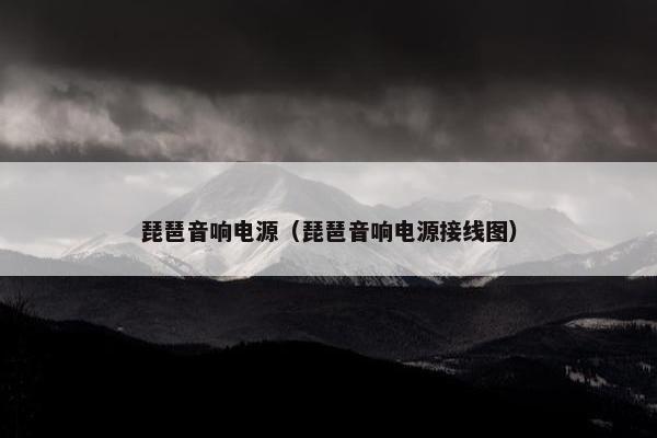琵琶音响电源（琵琶音响电源接线图）