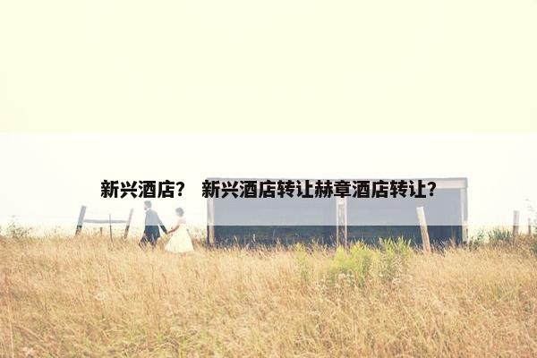 新兴酒店？ 新兴酒店转让赫章酒店转让？