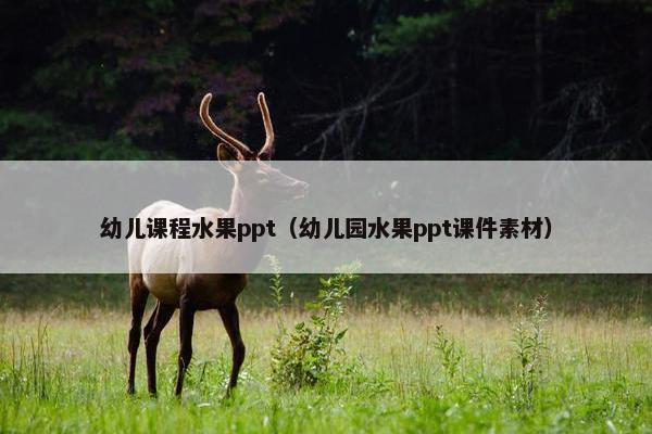 幼儿课程水果ppt（幼儿园水果ppt课件素材）