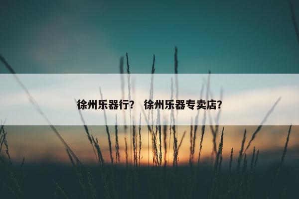 徐州乐器行？ 徐州乐器专卖店？
