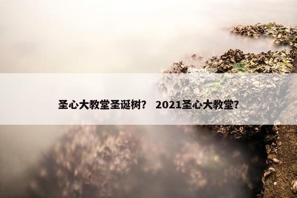 圣心大教堂圣诞树？ 2021圣心大教堂？