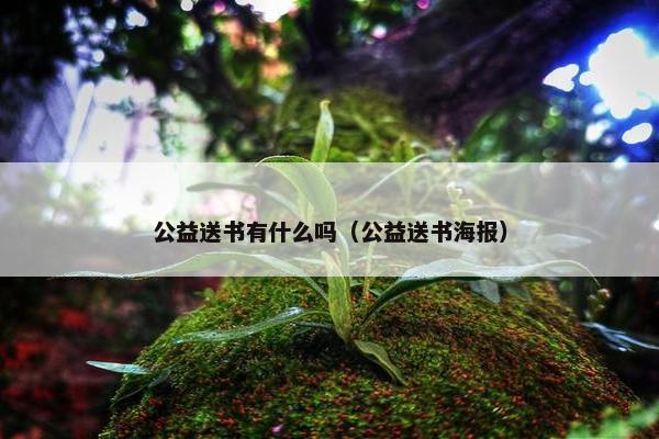 公益送书有什么吗（公益送书海报）