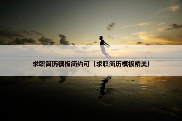 求职简历模板简约可（求职简历模板精美）