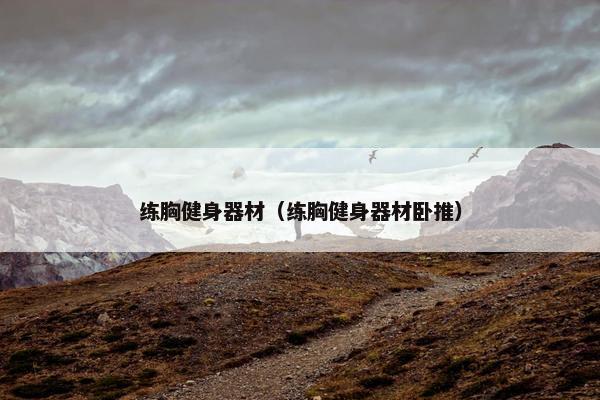 练胸健身器材（练胸健身器材卧推）