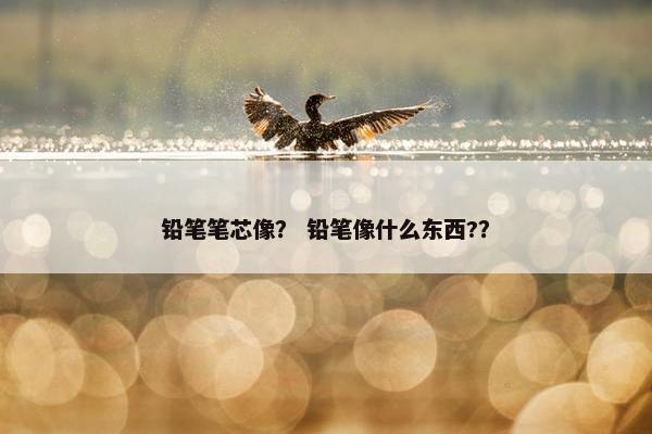 铅笔笔芯像？ 铅笔像什么东西?？