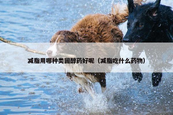 减脂用哪种类固醇药好呢（减脂吃什么药物）