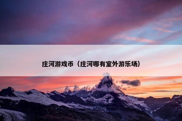 庄河游戏币（庄河哪有室外游乐场）