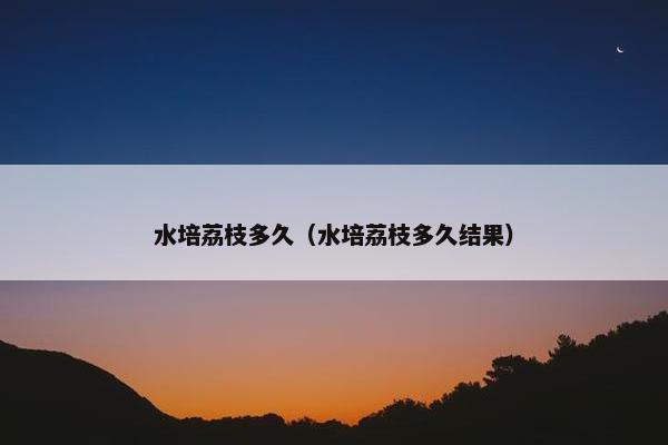 水培荔枝多久（水培荔枝多久结果）