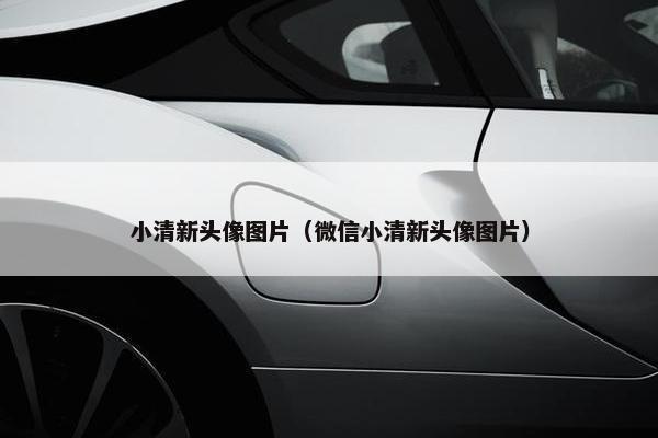 小清新头像图片（微信小清新头像图片）