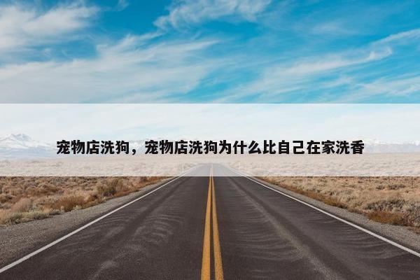 宠物店洗狗，宠物店洗狗为什么比自己在家洗香