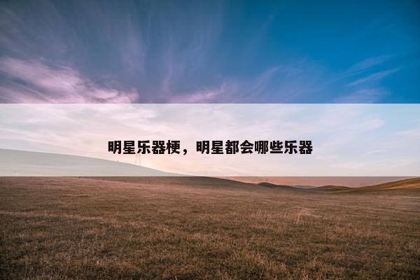 明星乐器梗，明星都会哪些乐器