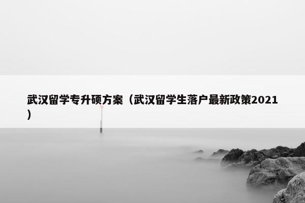 武汉留学专升硕方案（武汉留学生落户最新政策2021）