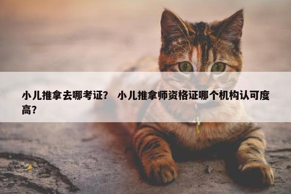 小儿推拿去哪考证？ 小儿推拿师资格证哪个机构认可度高？