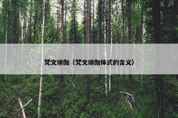 梵文瑜伽（梵文瑜伽体式的含义）