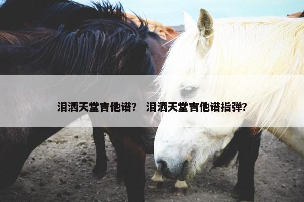 泪洒天堂吉他谱？ 泪洒天堂吉他谱指弹？