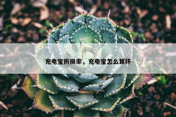 充电宝折损率，充电宝怎么算坏