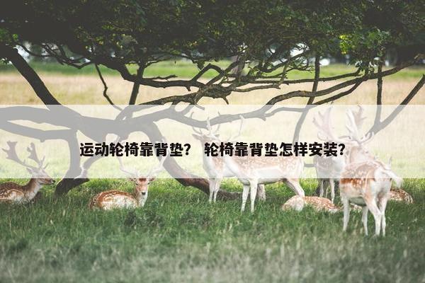 运动轮椅靠背垫？ 轮椅靠背垫怎样安装？