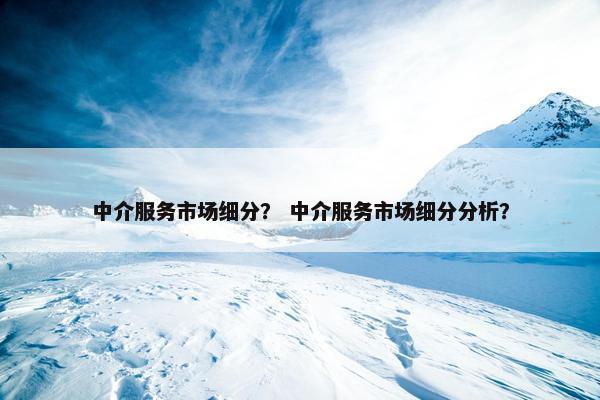 中介服务市场细分？ 中介服务市场细分分析？