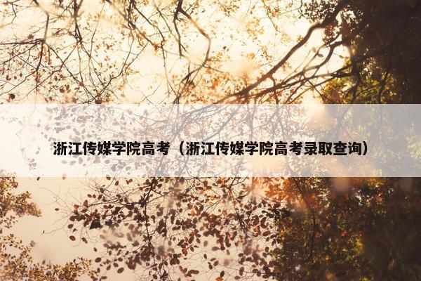 浙江传媒学院高考（浙江传媒学院高考录取查询）