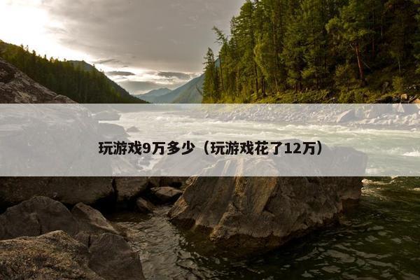 玩游戏9万多少（玩游戏花了12万）