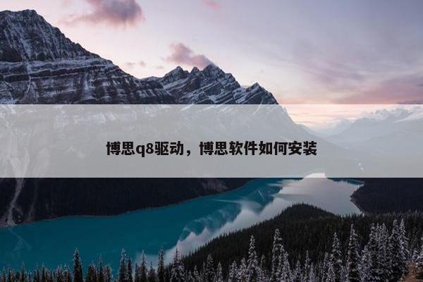 博思q8驱动，博思软件如何安装