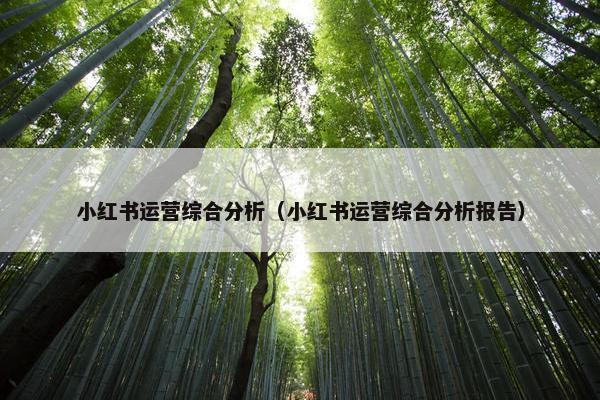 小红书运营综合分析（小红书运营综合分析报告）