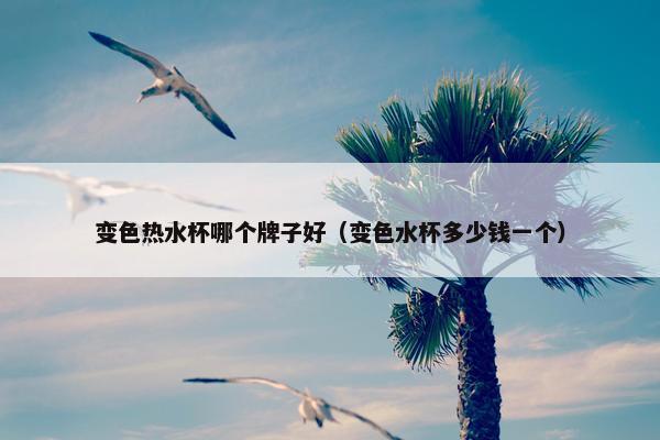 变色热水杯哪个牌子好（变色水杯多少钱一个）