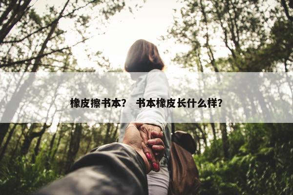 橡皮擦书本？ 书本橡皮长什么样？