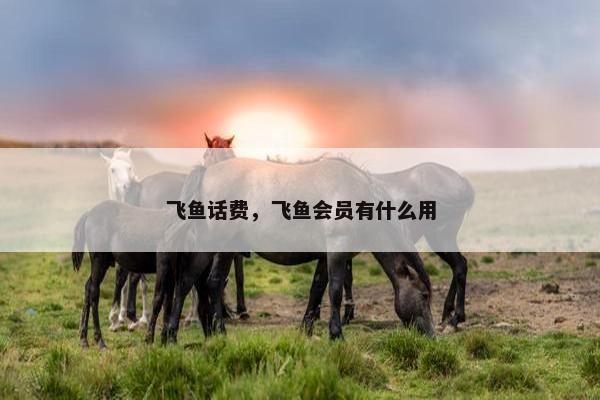 飞鱼话费，飞鱼会员有什么用