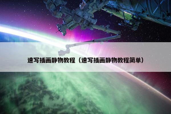 速写插画静物教程（速写插画静物教程简单）