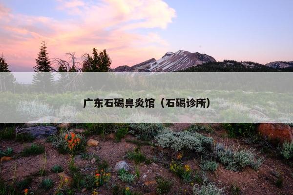 广东石碣鼻炎馆（石碣诊所）