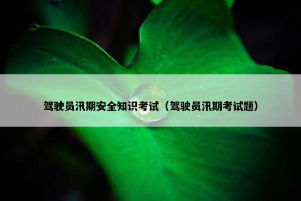 驾驶员汛期安全知识考试（驾驶员汛期考试题）