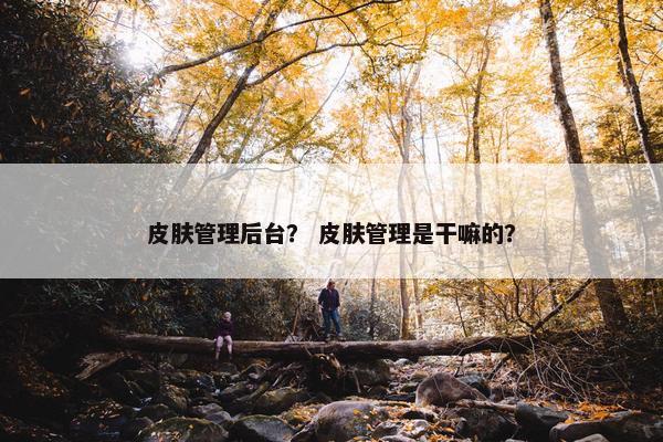 皮肤管理后台？ 皮肤管理是干嘛的？