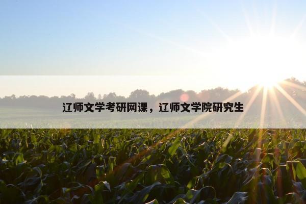 辽师文学考研网课，辽师文学院研究生