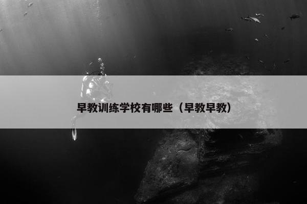 早教训练学校有哪些（早教早教）