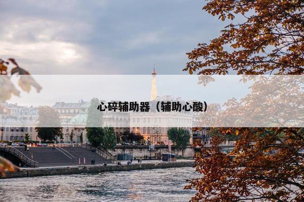 心碎辅助器（辅助心酸）