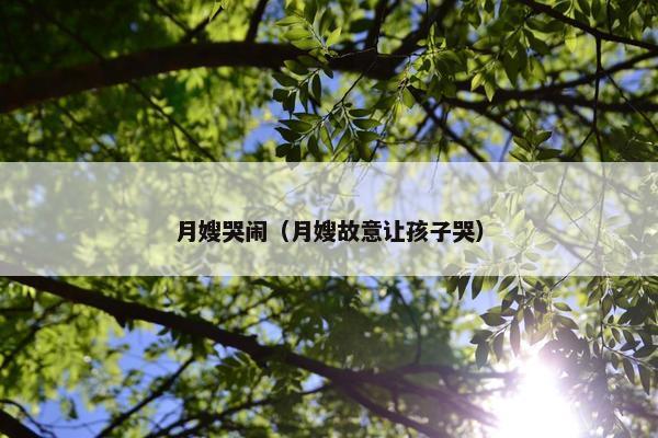 月嫂哭闹（月嫂故意让孩子哭）