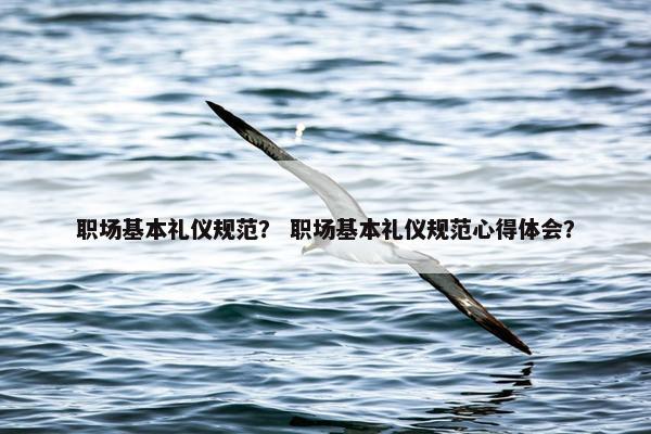职场基本礼仪规范？ 职场基本礼仪规范心得体会？