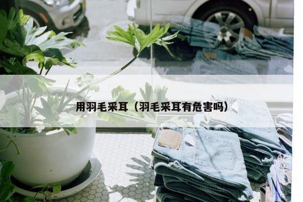 用羽毛采耳（羽毛采耳有危害吗）