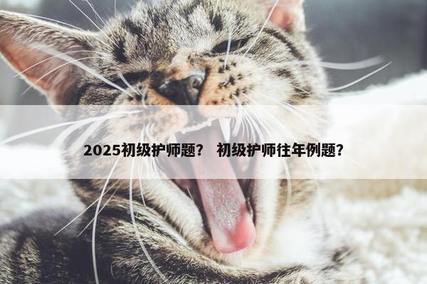 2025初级护师题？ 初级护师往年例题？