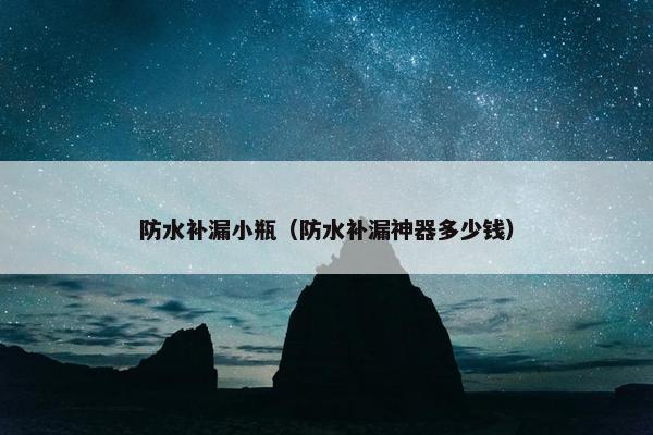 防水补漏小瓶（防水补漏神器多少钱）