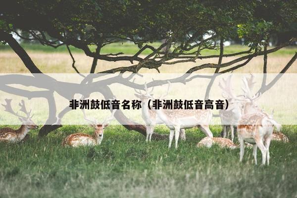 非洲鼓低音名称（非洲鼓低音高音）