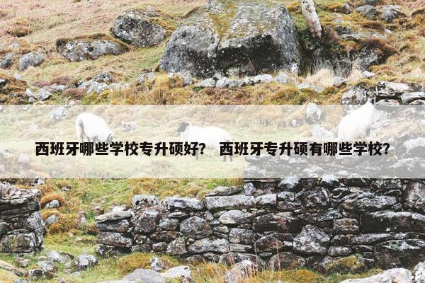 西班牙哪些学校专升硕好？ 西班牙专升硕有哪些学校？