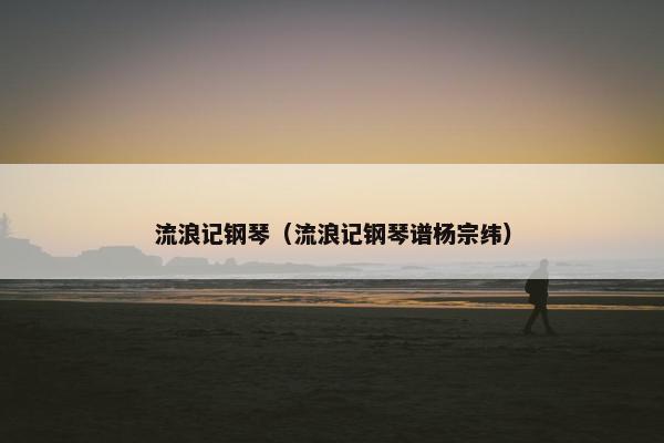 流浪记钢琴（流浪记钢琴谱杨宗纬）